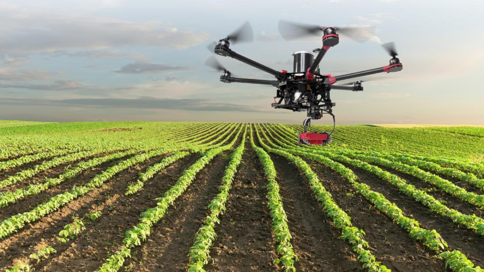 Agtech realizando monitoreo en agricultura con drones
