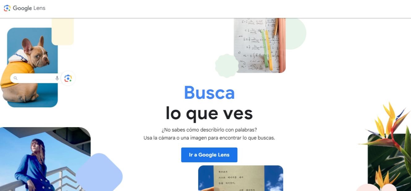 búsquedas de imágenes utilizando Google Lens