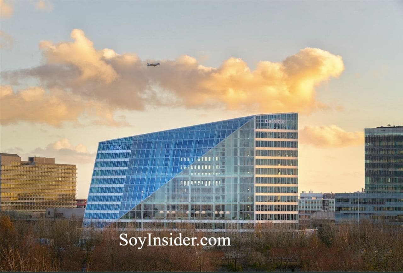 Imagen de La arquitectura Edge/PLP (The Edge es un edificio de oficinas, que se abre a la ciudad con su atrio de 15 pisos).