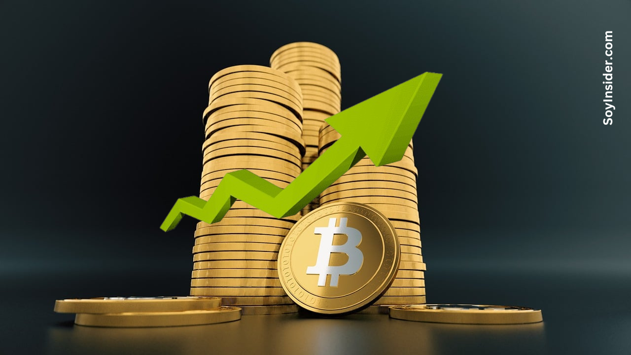 Bitcoin al 14 octubre 2024