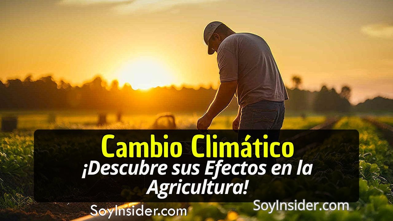 Un agricultor trabajando en un campo al amanecer, con una luz dorada que ilumina el paisaje rural. En la imagen se destaca un recuadro con el texto: "Cambio Climático: ¡Descubre sus Efectos en la Agricultura!". En la parte inferior de la imagen aparece el sitio web: SoyInsider.com.