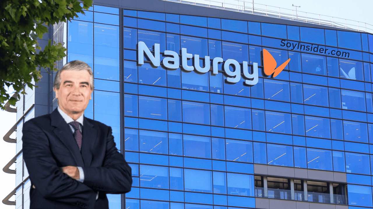 Desempeño financiero de Naturgy