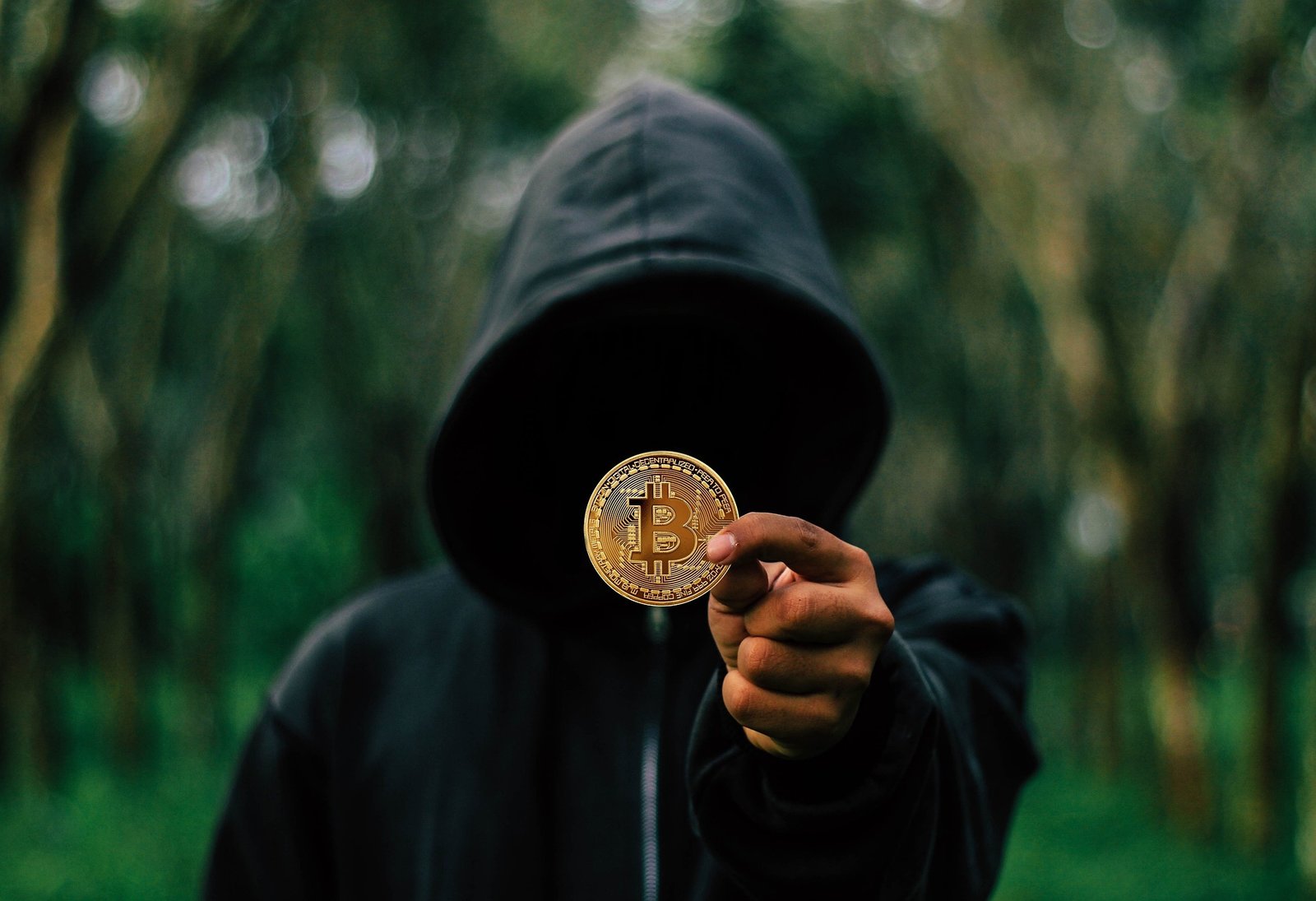 Evolución del bitcoin