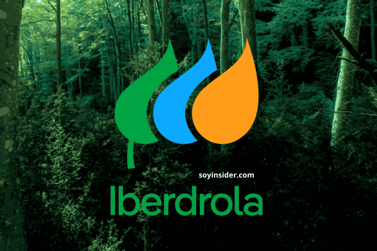 Emisión de bono verde de Iberdrola con alta demanda en el mercado financiero.