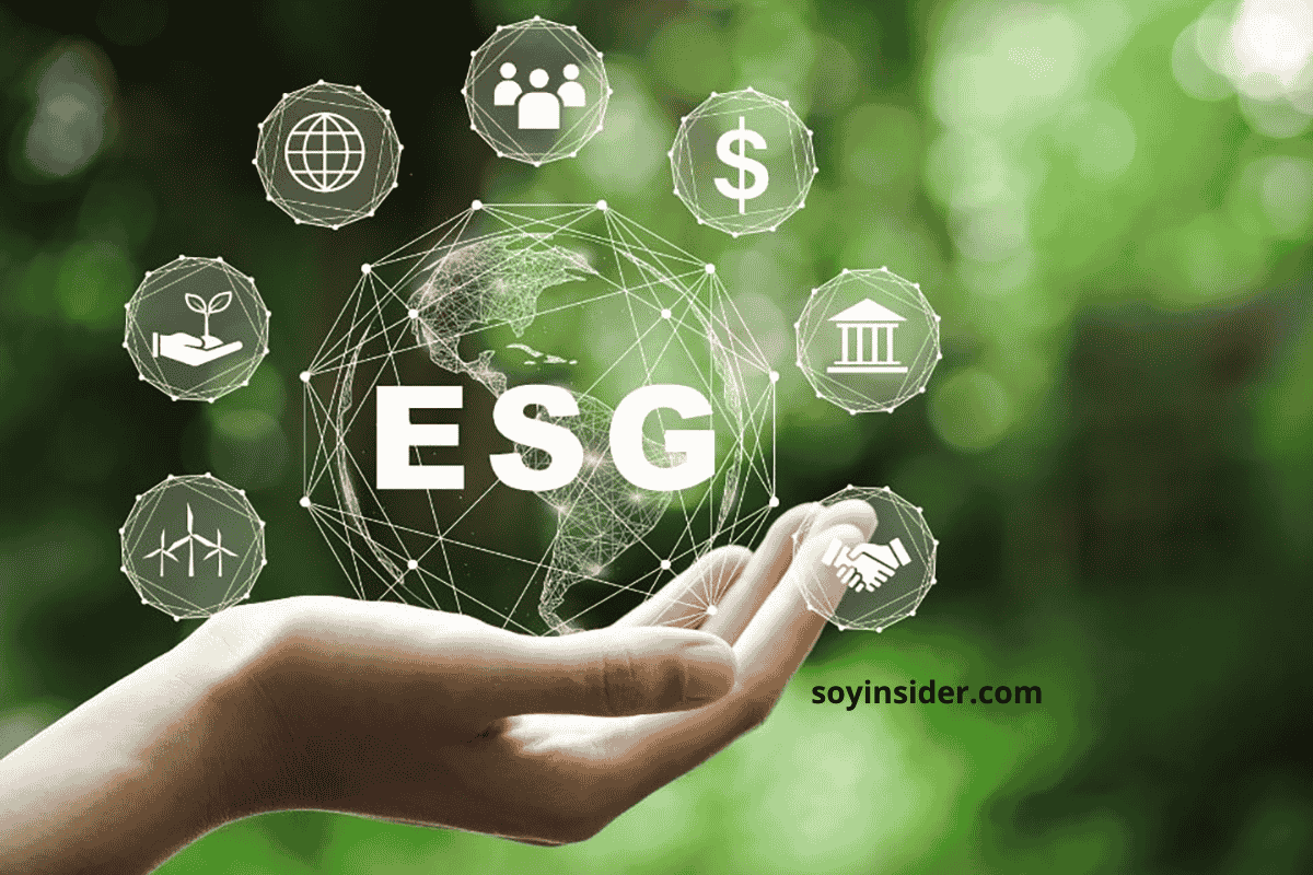 rendimiento y desafíos actuales de la inversión ESG en 2024