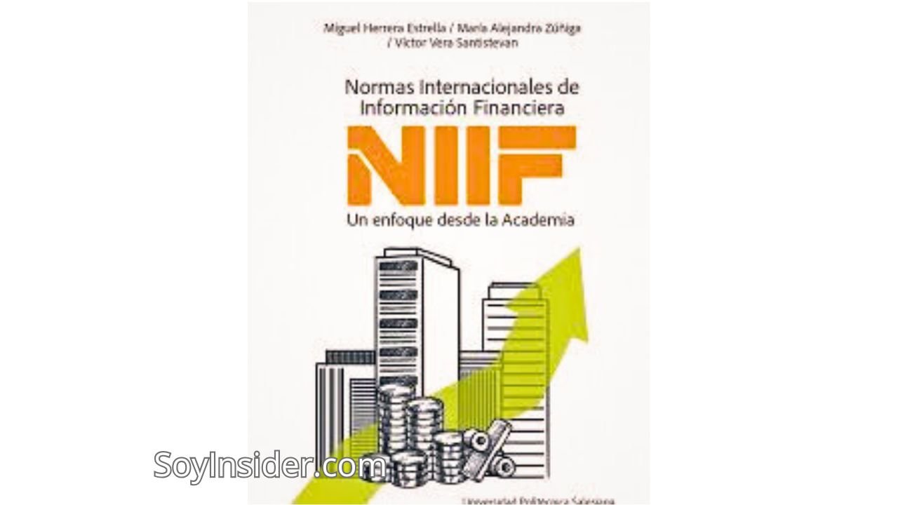 Principales Libros de Contabilidad. en la imagen la portada del libro Normas Internacionales de Información Financiera de María López