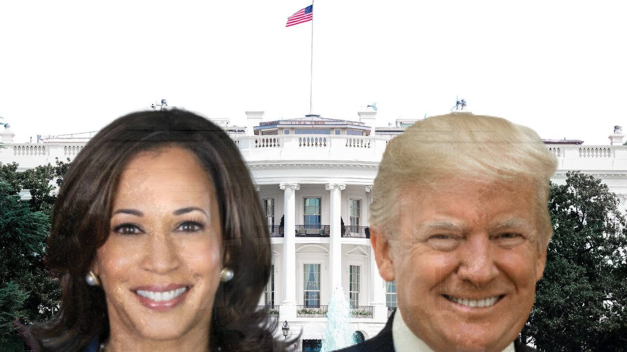 Harris Vs Trump podrían quedar empatados: Las combinaciones podrían dar 269 a 269 de los 538 votos del Colegio Electoral