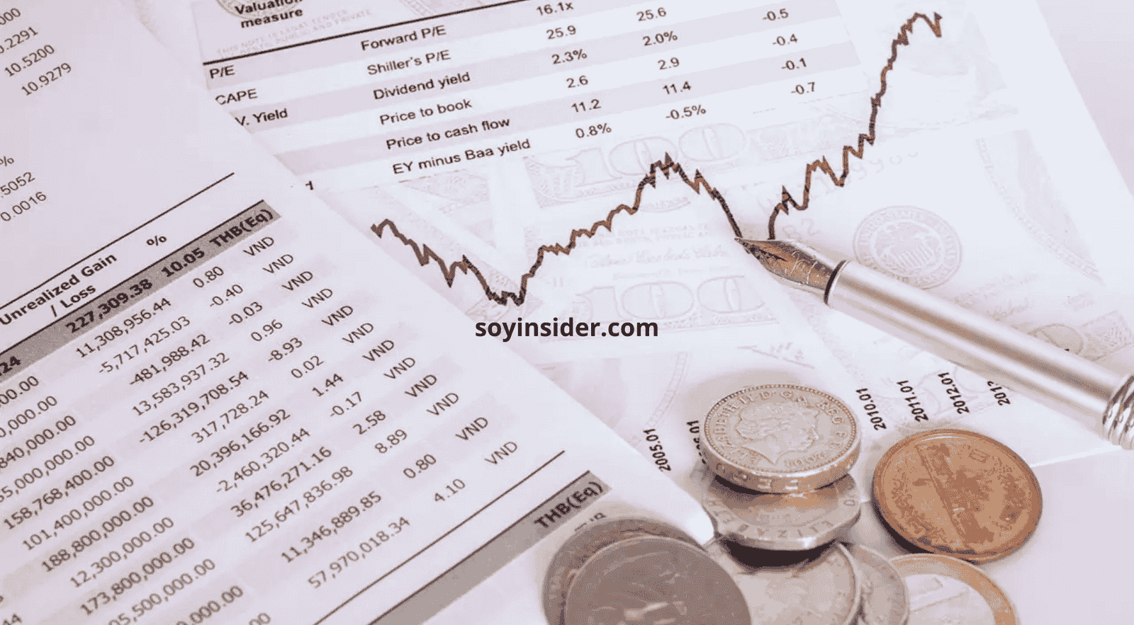 diversificación y estrategias de inversión en fondos de capital privado