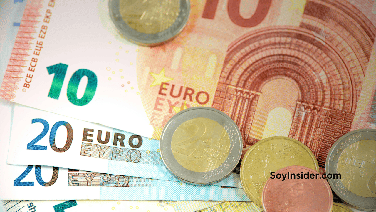 ingresos reales en España
