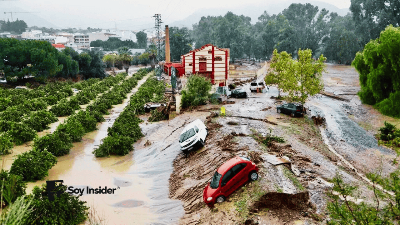 Ayudas por riadas en Valencia