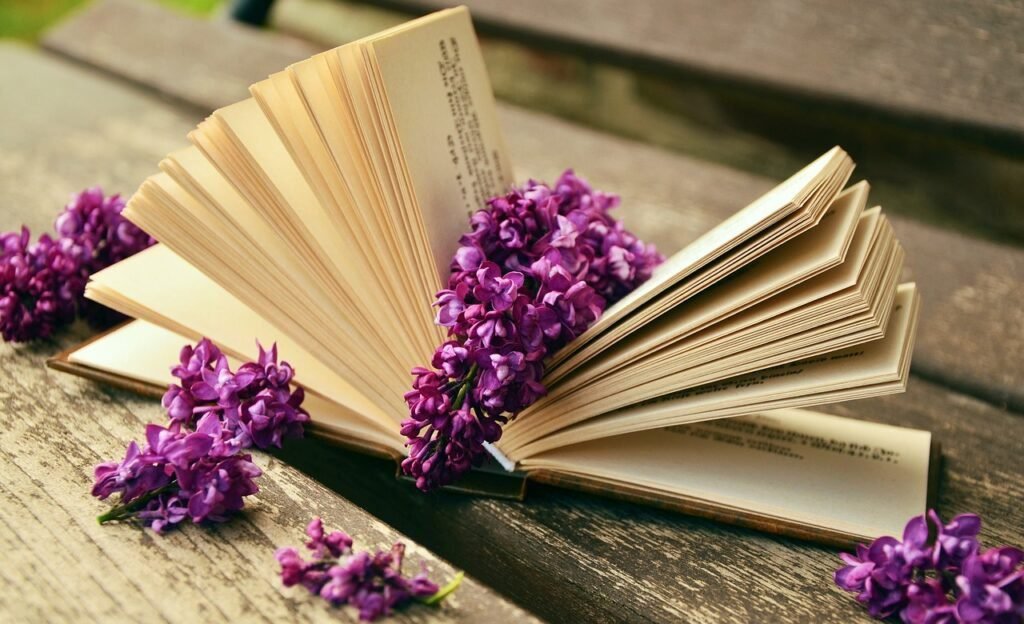 literatura