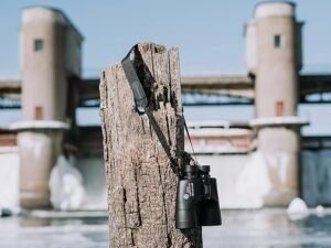 Prismáticos Olympus 12x50 EXPS I con diseño robusto en color negro, lentes de gran diámetro para una visualización clara y nítida, ideales para observación de la naturaleza y actividades al aire libre.