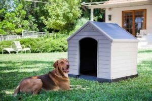 Caseta de Perro Exterior Curver de Resina para Perros Grandes y Medianos – Vista del producto mostrando su diseño robusto, resistente a la intemperie y acabado en tonos neutros, ideal para proporcionar refugio cómodo y duradero en jardines y patios.