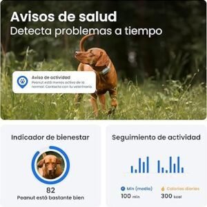 Imagen del rastreador GPS para perros Tractive 2025 edición, líder del mercado, mostrando el dispositivo compacto, resistente al agua, ideal para la localización en tiempo real de mascotas.