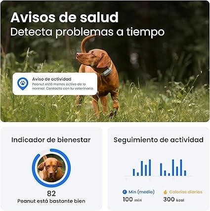 Imagen del rastreador GPS para perros Tractive 2025 edición, líder del mercado, mostrando el dispositivo compacto, resistente al agua, ideal para la localización en tiempo real de mascotas.