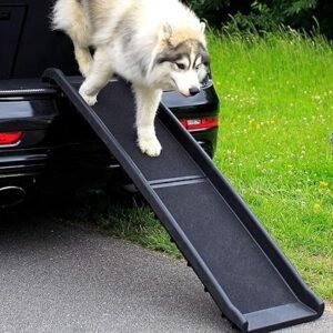 Imagen de la rampa Lionto para perros con escalones antideslizantes, ideal para facilitar el acceso a camas, sofás o autos; diseño plegable y resistente, perfecta para mascotas de todas las edades.