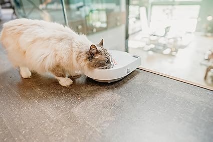 Comedero automático para mascotas Cat Mate C300 con temporizador digital – Vista del producto mostrando su diseño moderno, tres compartimentos para alimentos y tapa giratoria, ideal para programar comidas y mantener una alimentación regular de gatos y perros pequeños.