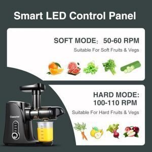 La mejor licuadora para frutas y verduras con 2 velocidades de Amzchef