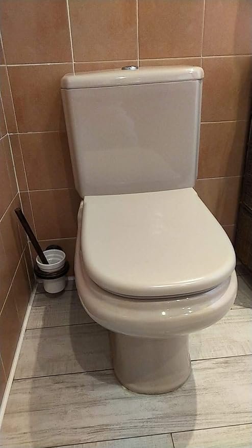 Asiento y Tapa Roca Dama Retro A801327194: Calidad, Durabilidad y Estilo Retro - Compra Ahora.