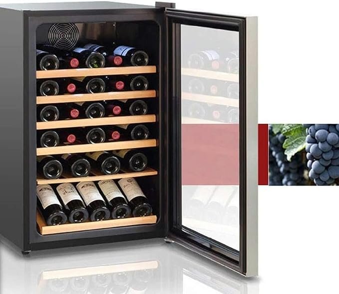 Enfriador de Vino de 30 Botellas QPZMALSKY: refrigerador de Bodega de Vino Independiente - Panel táctil, Pantalla Digital de Temperatura