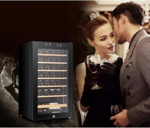 Refrigerador termoeléctrico de Vino Tinto y Blanco de 33 Botellas, refrigerador de Vino Independiente - QPZMALSKY.