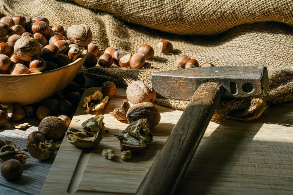 Alimentación