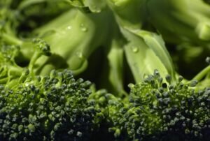Alimentos