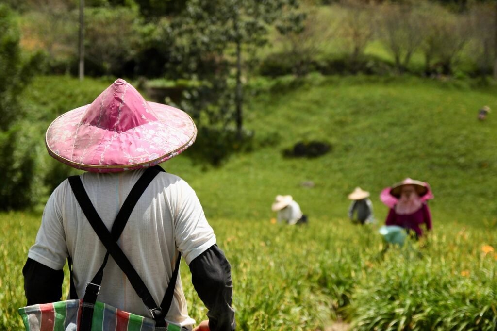 Taiwán