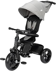 Bebeconfort Windy, Triciclo Evolutivo con Manillar para Padres, 10M-4A, 0-25 kg, Ajustable al Niño, Asiento Cómodo y Reversible - Opiniones y Análisis Completo