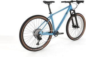 Bicicleta de montaña MT10 con cuadro de fibra de carbono y ruedas de 29 pulgadas. ¡Opiniones ICE positivas!